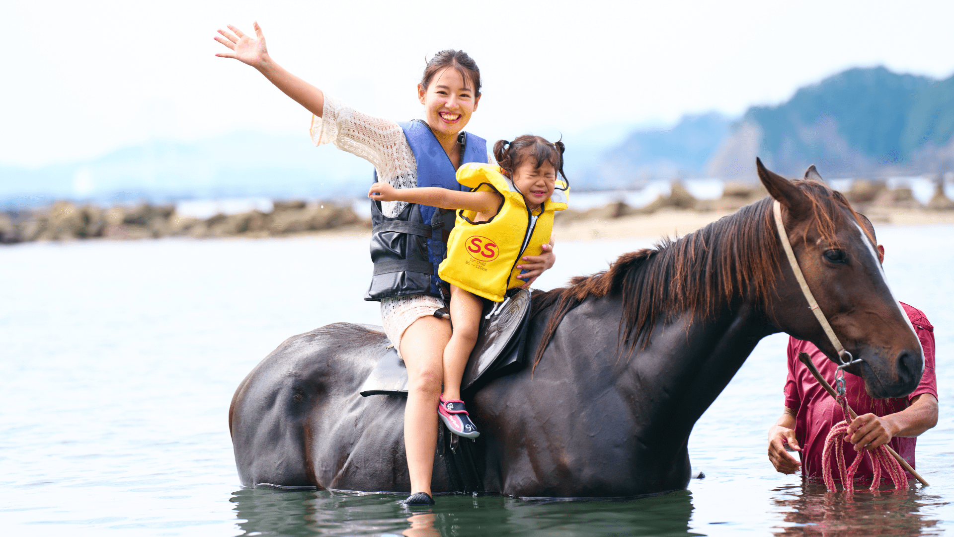 awaji-activity-dolphin