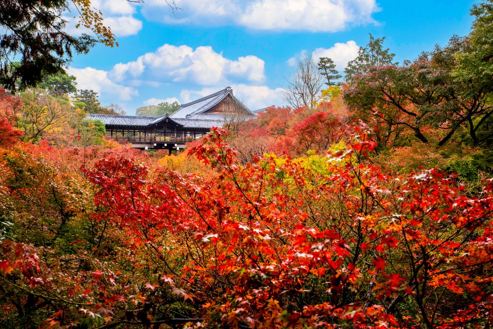 東福寺