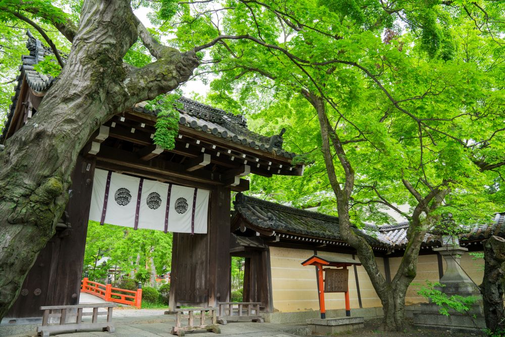今宮神社
