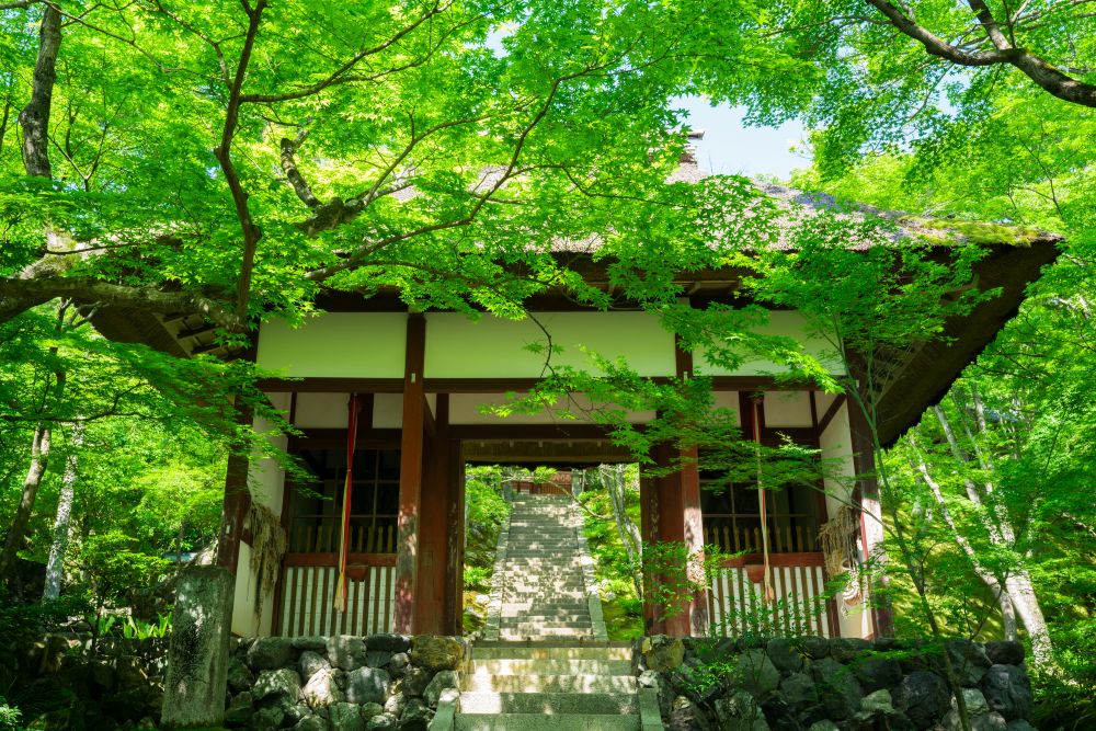 常寂光寺
