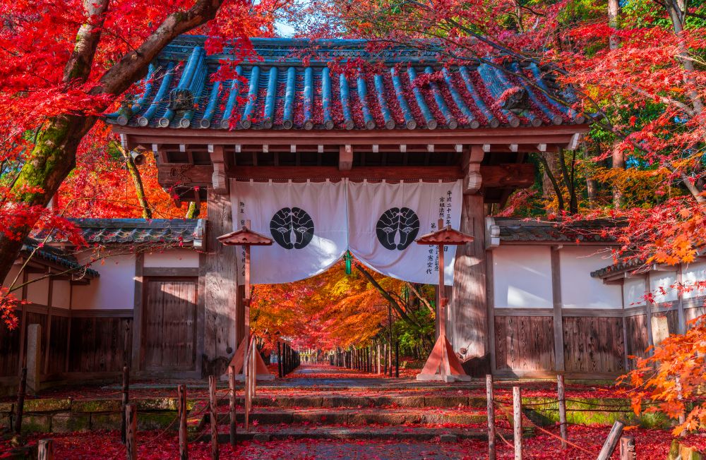 光明寺