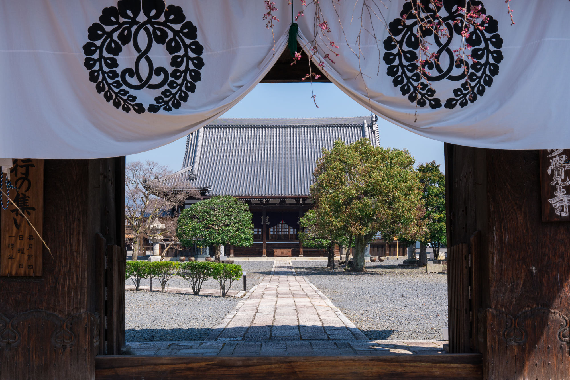 妙覚寺