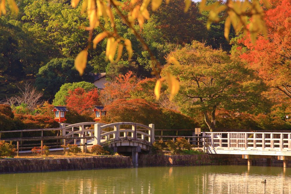 nagaokatenmangu