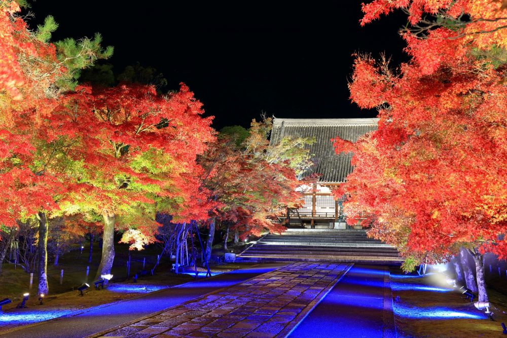 ninnaji