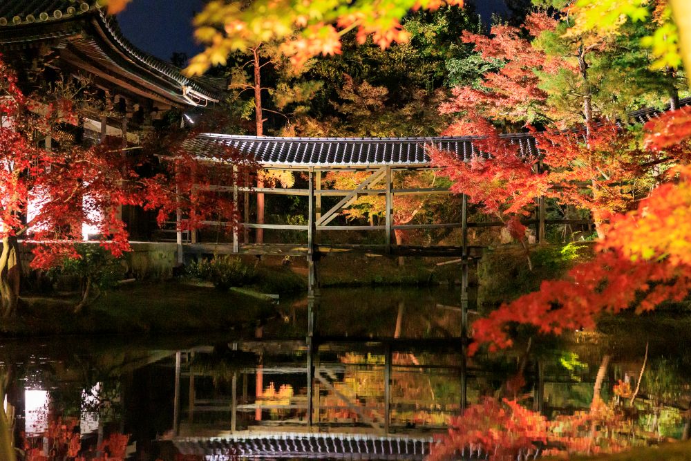 koudaiji