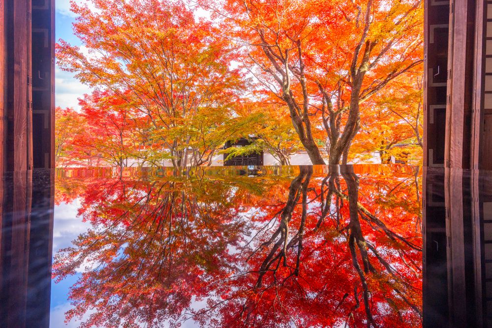 妙覺寺
