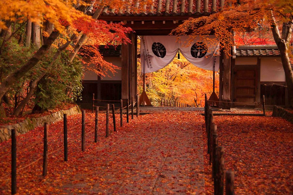 koumyoji