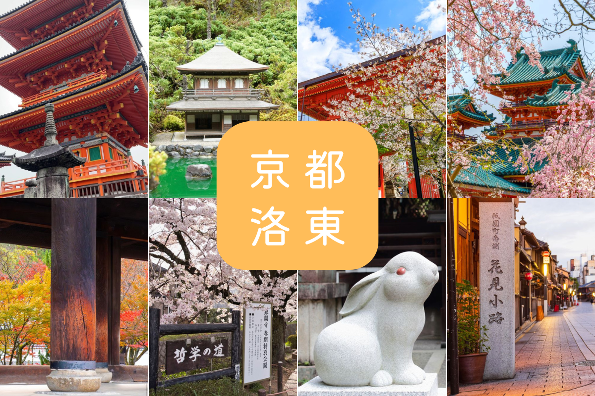 洛東観光スポット