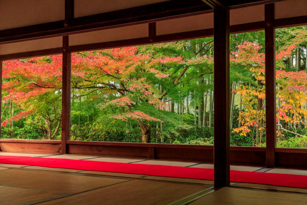 宝泉院