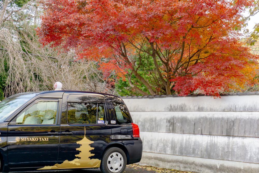 京都 タクシー