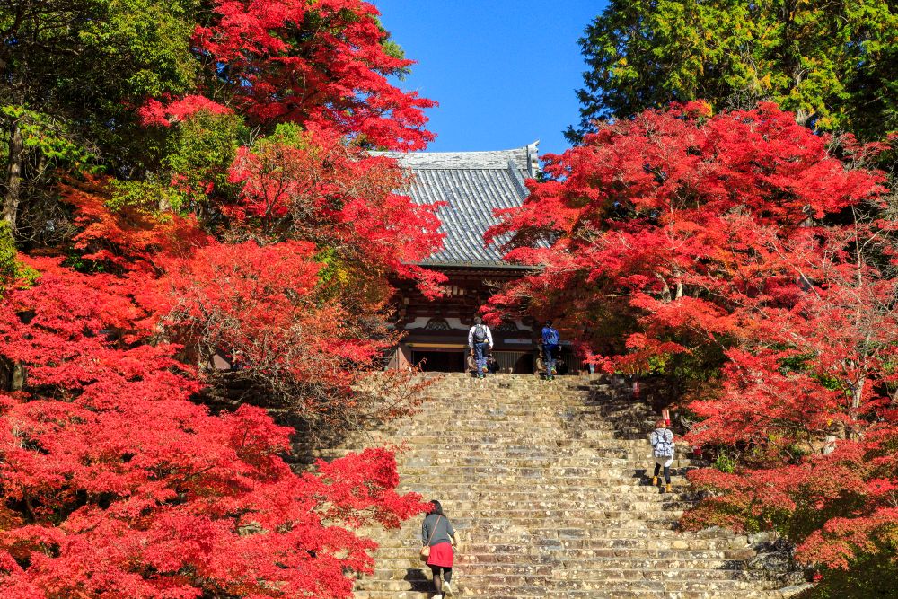 神護寺