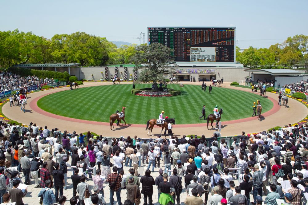 京都競馬場