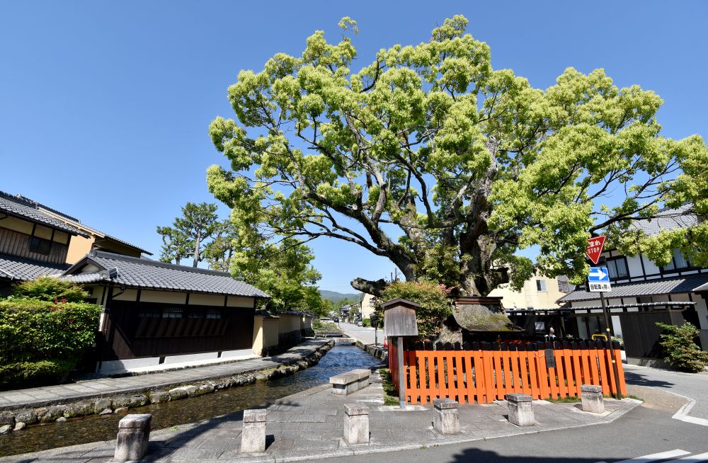 kamigamo-syakemachi