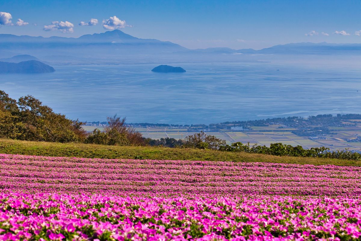 びわこ箱館山