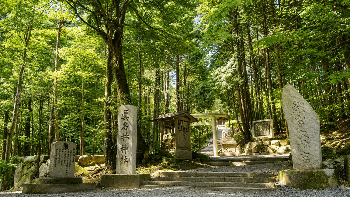 眞名井神社の社殿