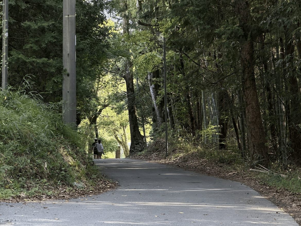 眞名井神社の参道